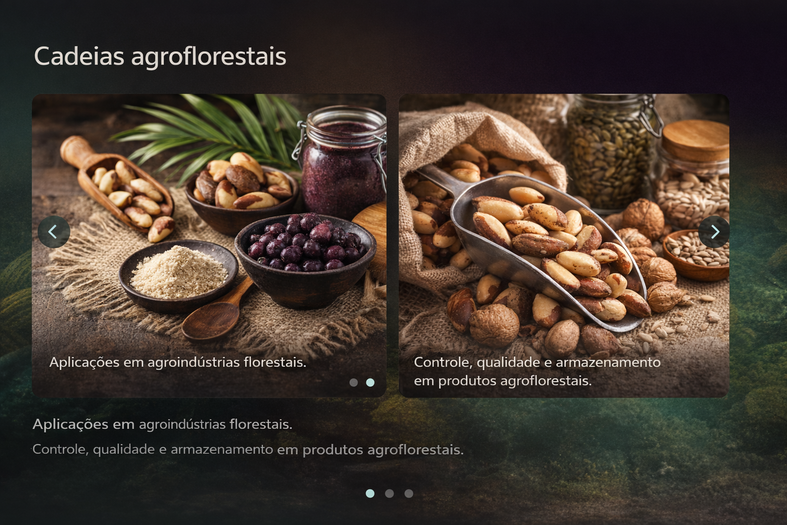 Cadeia agroflorestal