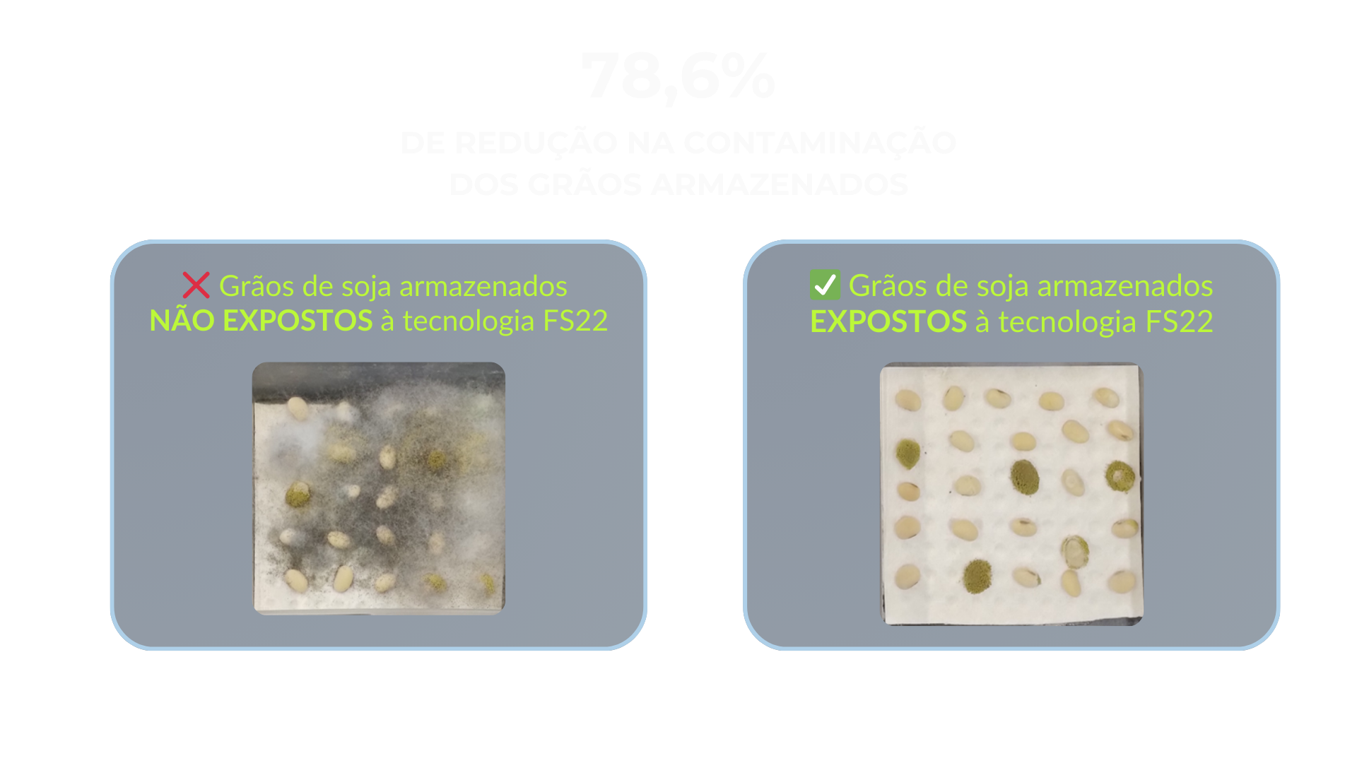 Armazenamento de grãos